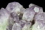 Wide Amethyst Crystal Cluster - Large Points #127155-3